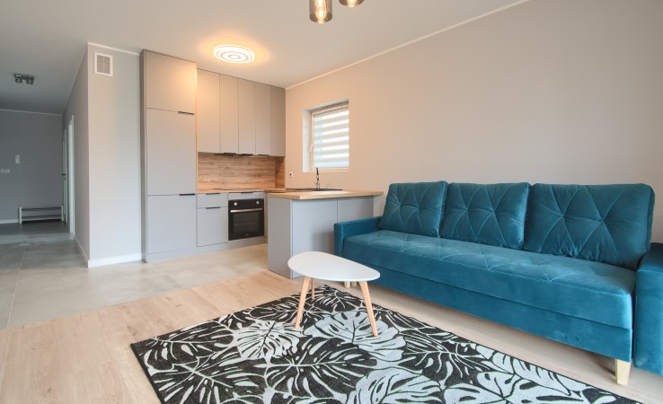 mieszkanie na wynajem - Toruń, Jar